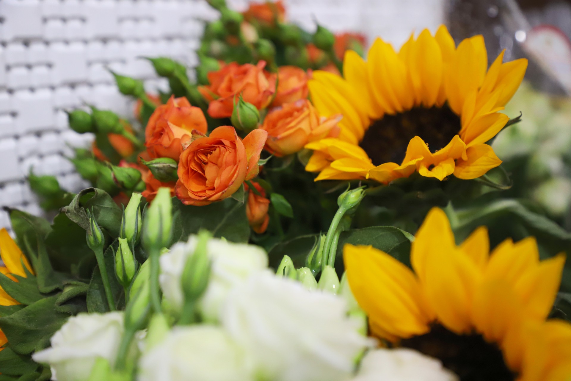 1654138122208374.jpg IMG_7508_副本.jpg